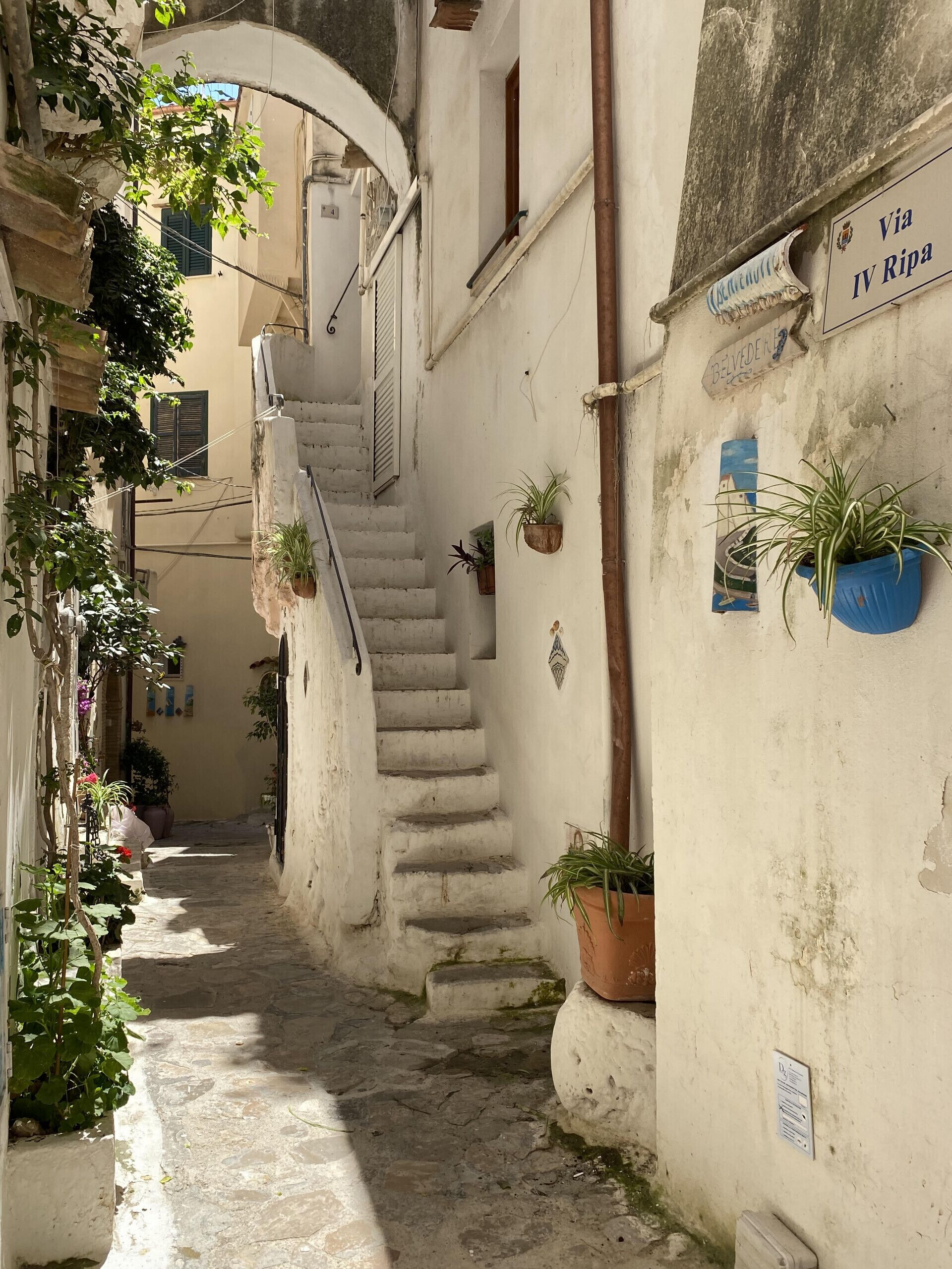 Une ruelle étroite avec un escalier menant à un immeuble. Des plantes en pot sont disposées le long des murs et sur les marches.