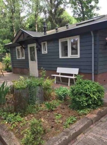 Lovely cottage surrounded by trees at the Veluwe