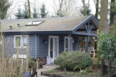 Lovely cottage surrounded by trees at the Veluwe