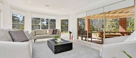 Smart TV, fireplace, books