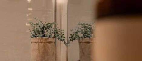A room with a wooden floor, two potted plants, and a wall-mounted light fixture with exposed bulbs.