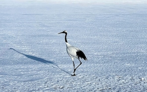 Wintersport/Ski