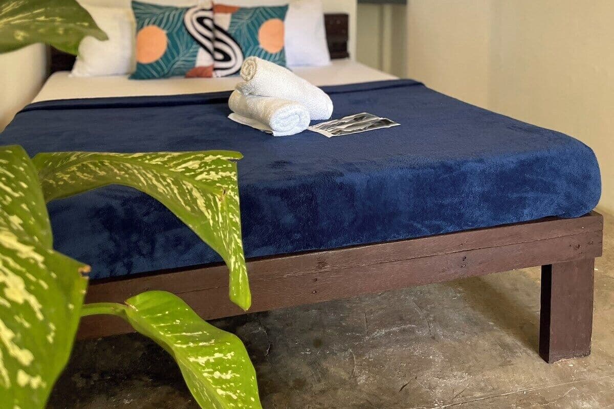 Una cama con colcha azul, almohadas blancas y una toalla enrollada. Hay dos plantas verdes grandes frente a la cama.