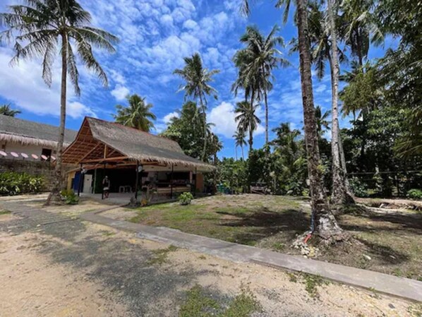 A thatched-roof building with a paved walkway leading to it, surrounded by palm trees and greenery. - Dawn Patrol Hostel (General Luna)