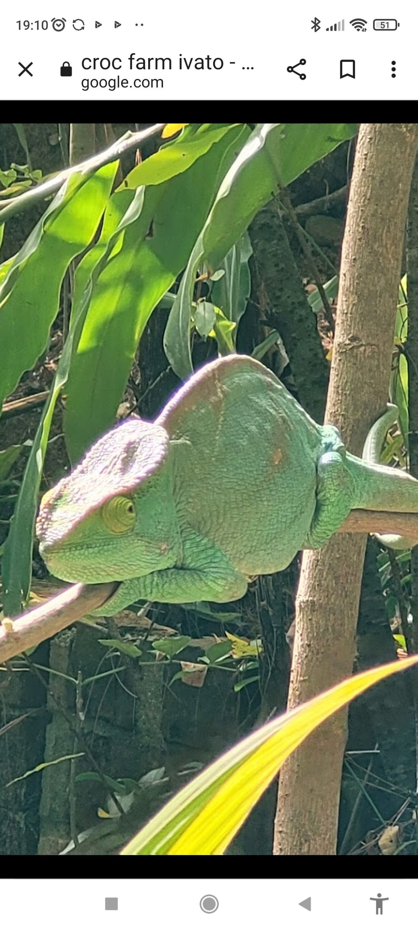 Foto - The romantic atmosphere of the red room to discover the pleasure of a stay