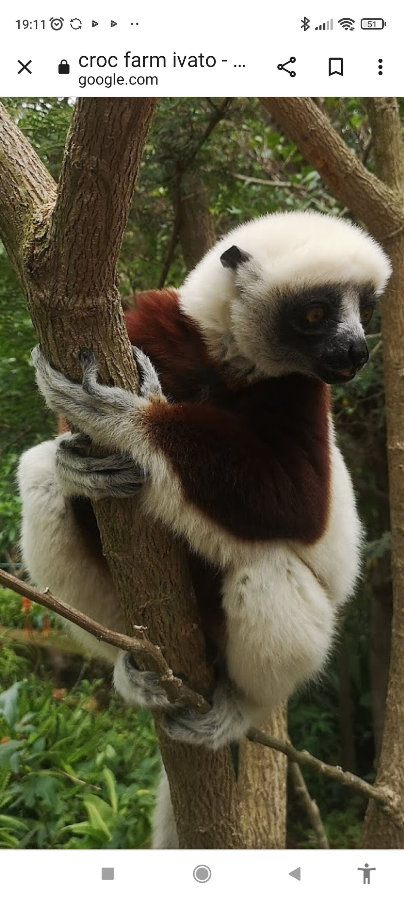 Foto - The romantic atmosphere of the red room to discover the pleasure of a stay