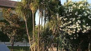 Ein Terrassenbereich mit Pool, Liegestühlen und verschiedenen Bäumen und Sträuchern.
