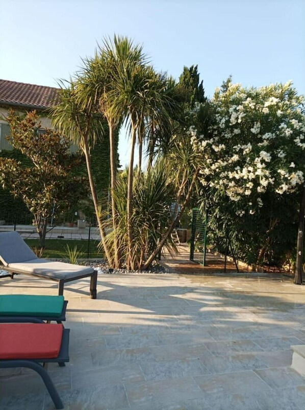 Un patio con piscina, sillas de descanso y diversos árboles y arbustos.