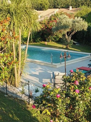 Une piscine entourée d’une végétation luxuriante et de différentes espèces de plantes.