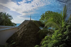 Vista desde la habitación