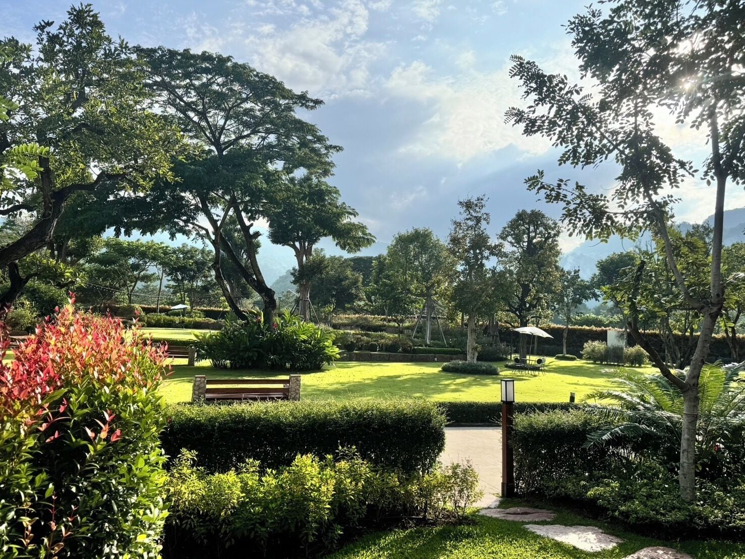 Um jardim bem cuidado com diversas árvores, gramado e um caminho que serpenteia pela vegetação.