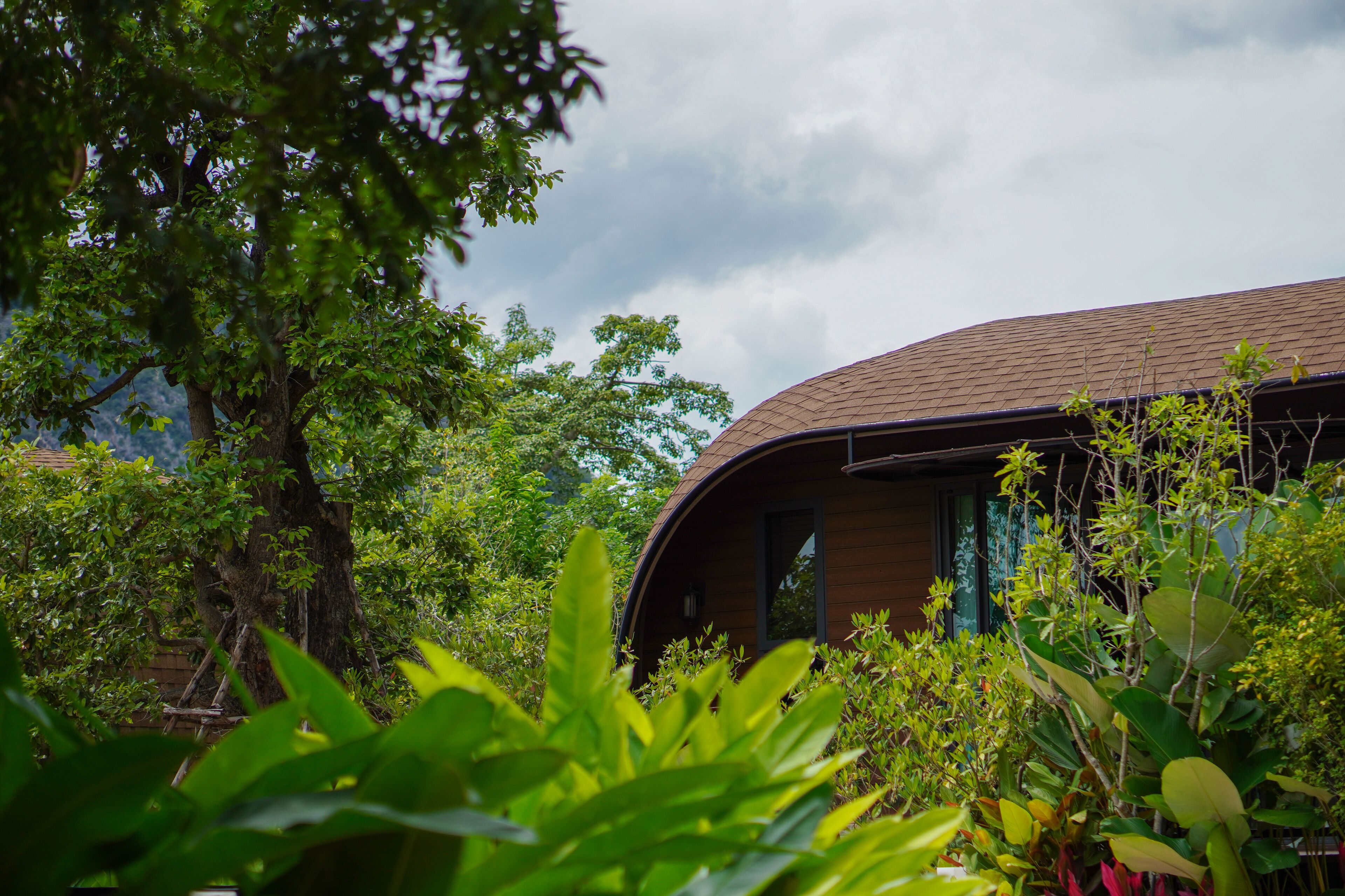 A modern building with a curved roof surrounded by lush greenery.