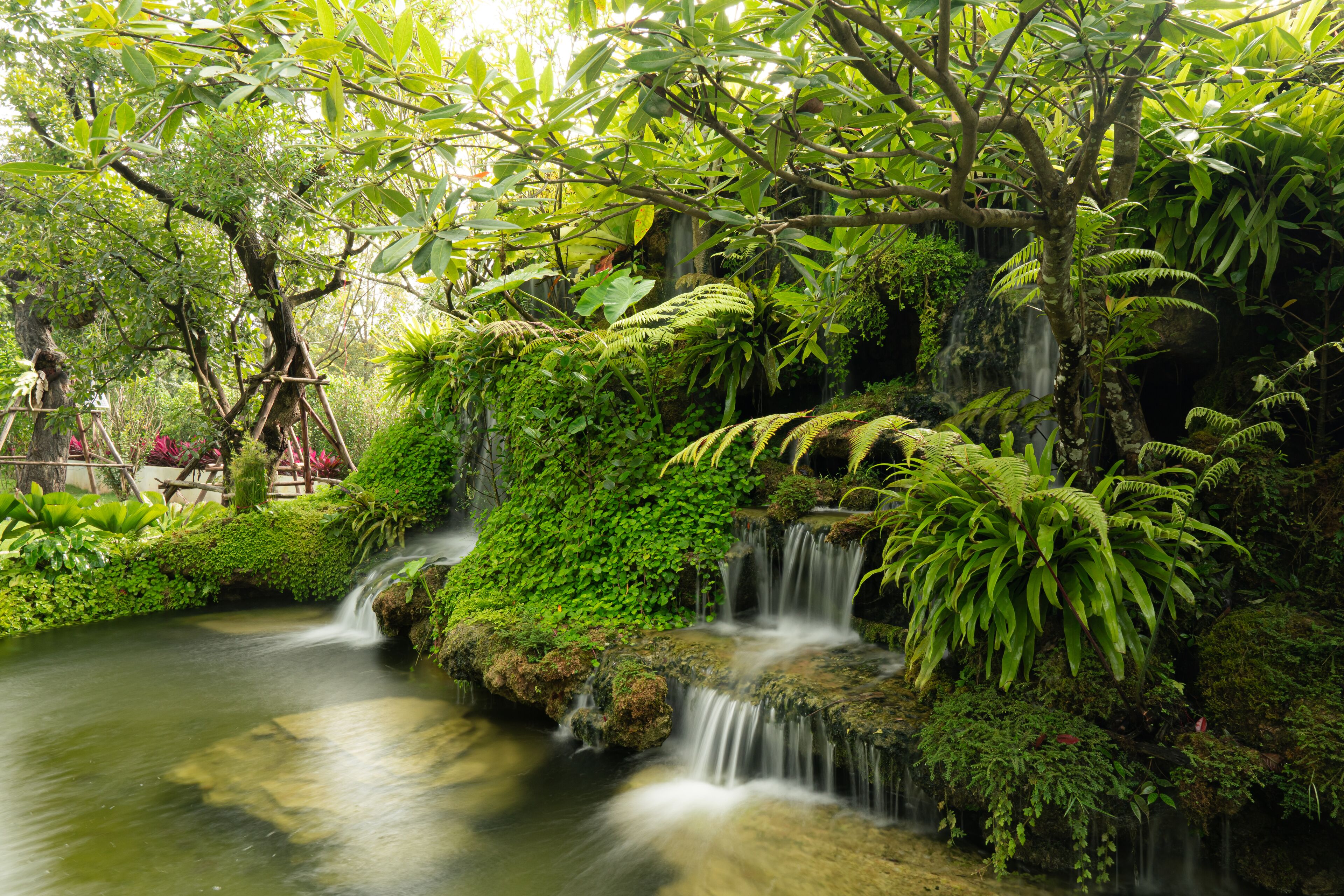 A lush garden with a small waterfall and dense foliage.