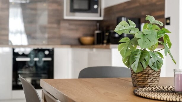 Une cuisine moderne avec une table en bois, une plante en pot et un four à micro-ondes.