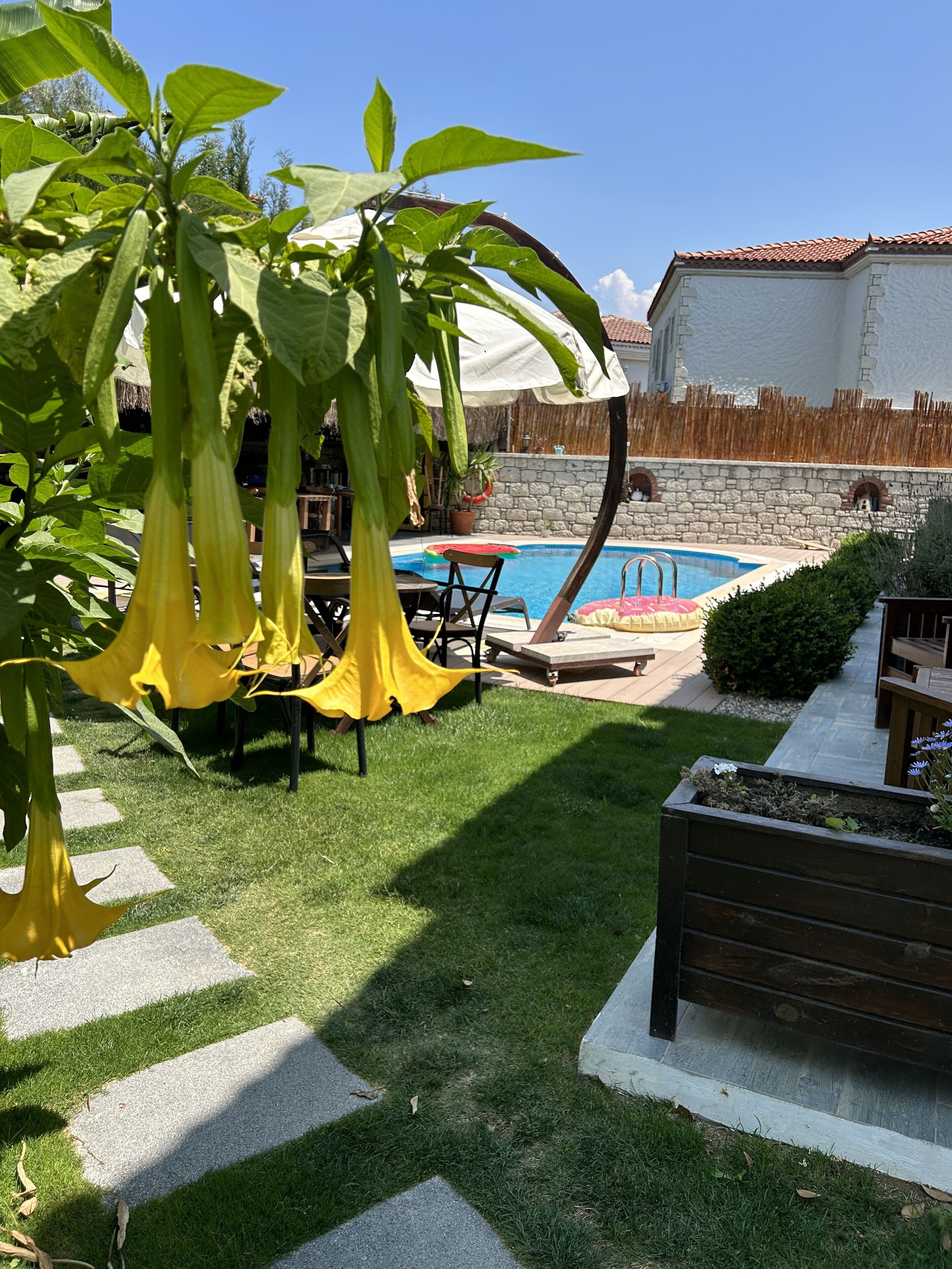 Un jardin avec une piscine, une construction à toit de chaume et un mur en pierre.