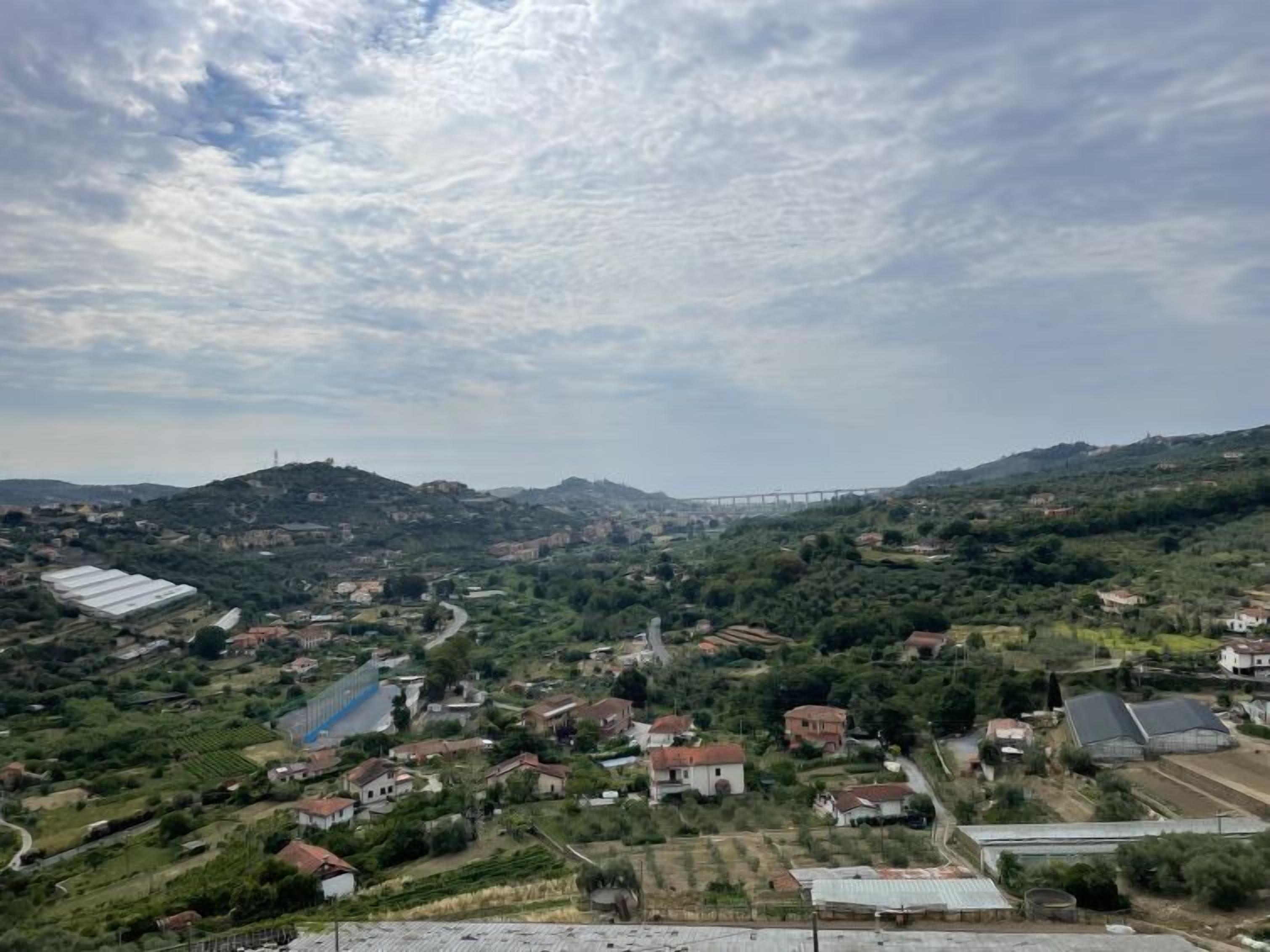 A rural landscape with a bridge, houses, and green fields.