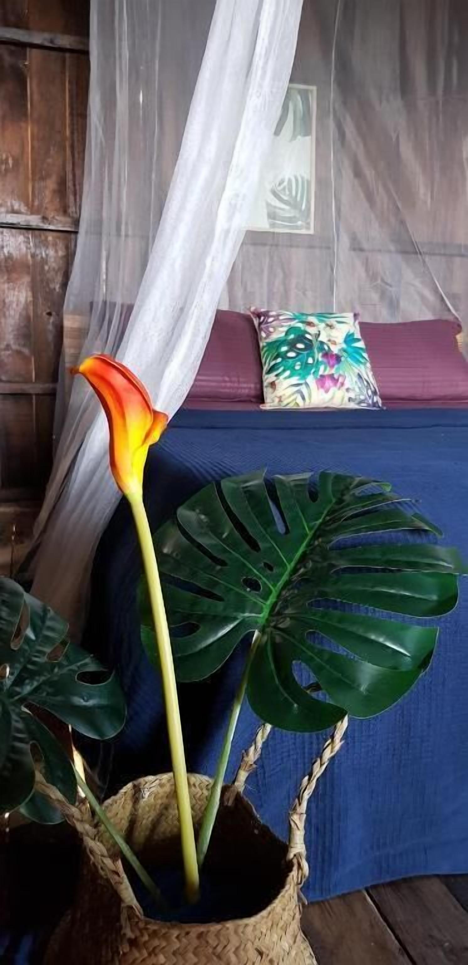 Foto - Harrera Perhentian, Long Beach