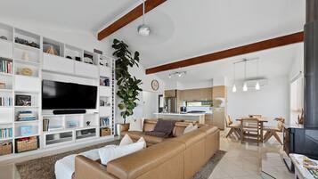 Smart TV, fireplace, video games, DVD player
