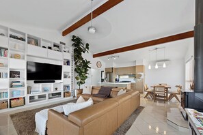 TV connectée, cheminée, jeux vidéo, lecteur de DVD