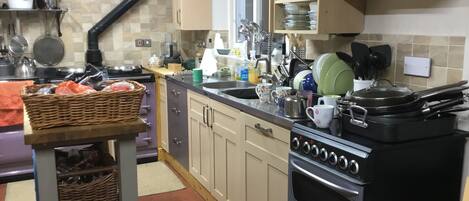 Habitación individual Club | Instalaciones de cocina compartidas | Frigorífico grande, microondas, horno y placa de cocina