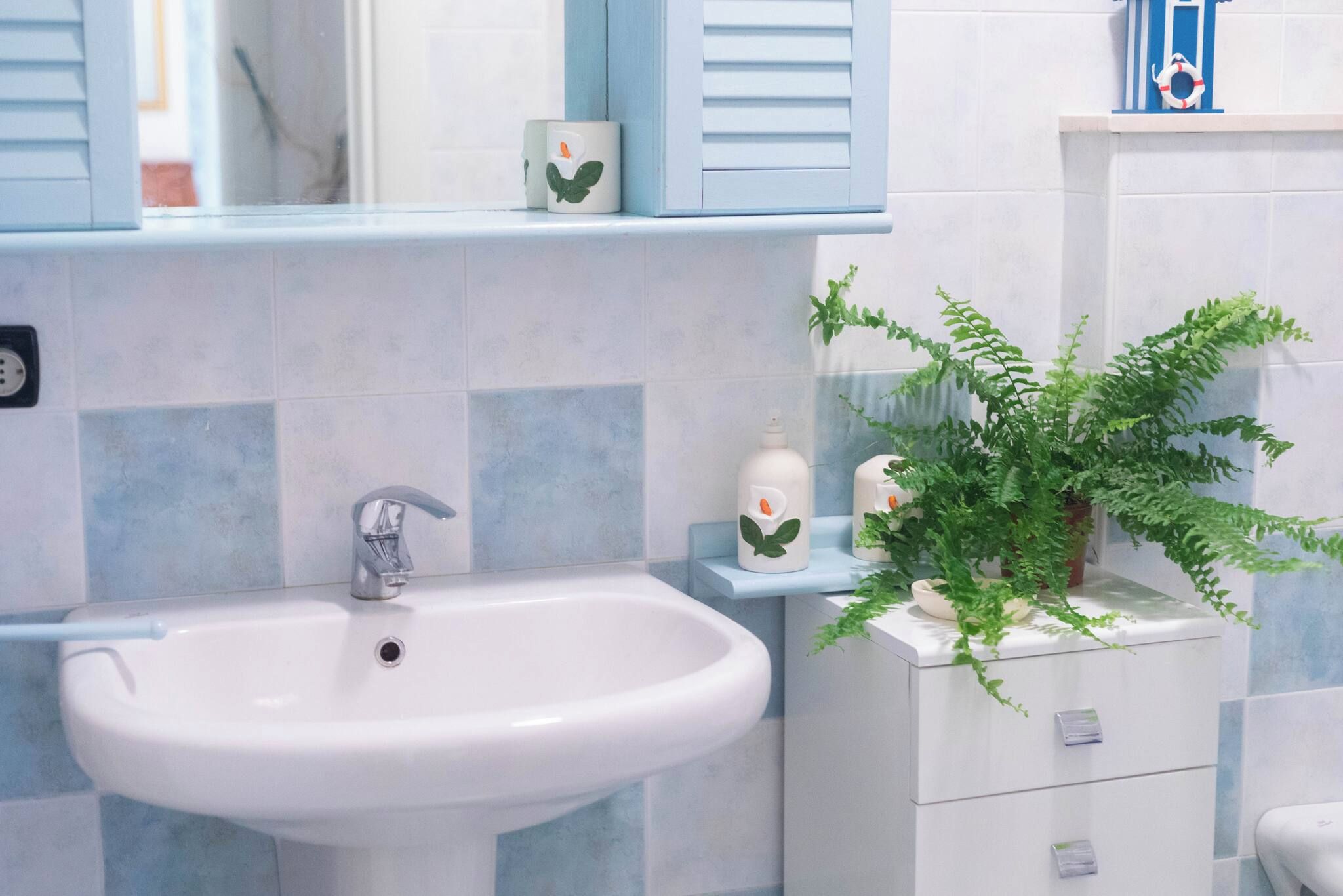 A bathroom with a white sink, a mirror, a blue towel rack, and a potted plant.