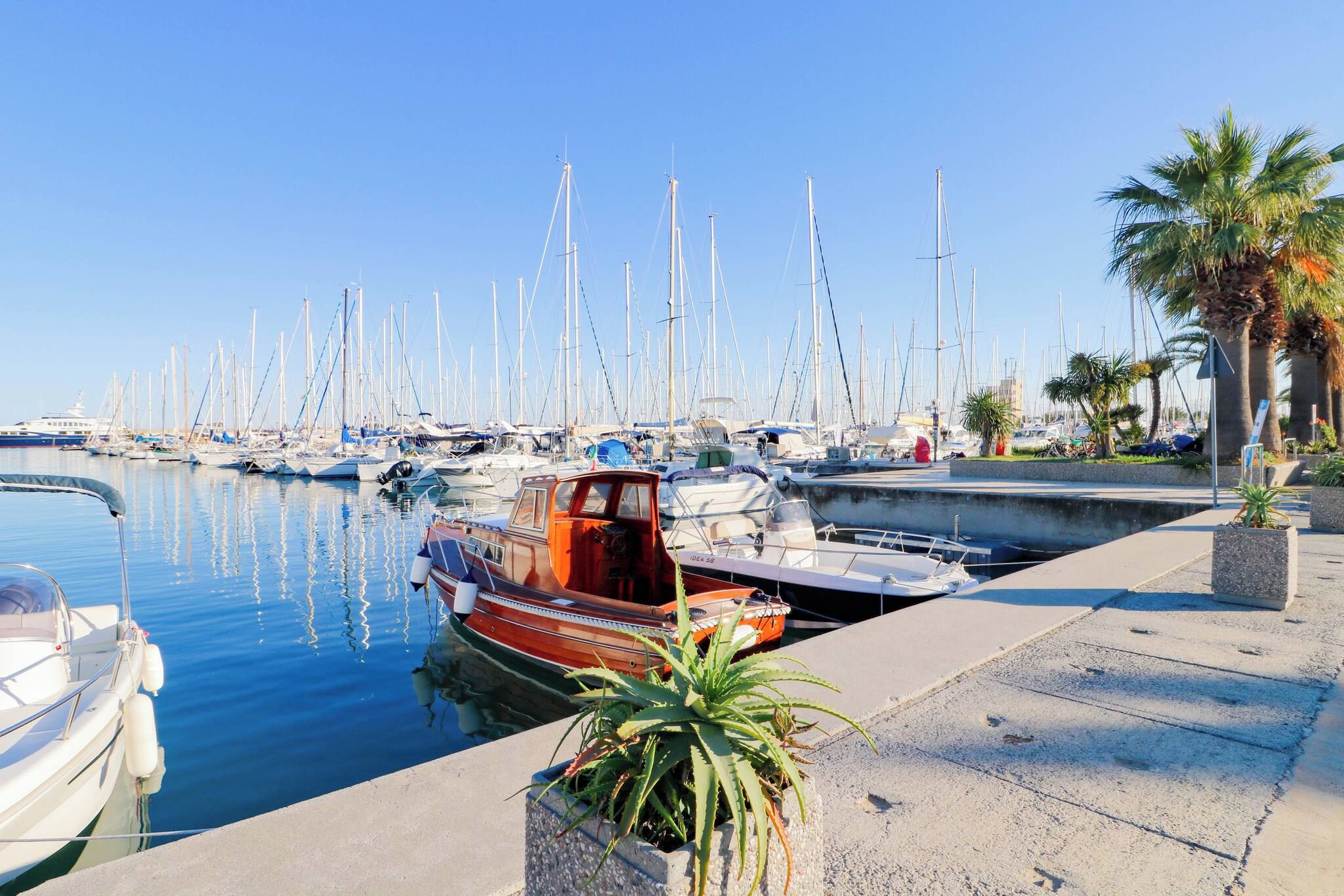 A marina with multiple boats docked, a small wooden boat in the foreground, and a palm tree on the right.