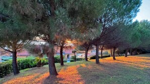 Un parc avec des arbres et un bĂątiment en arriĂšre-plan.