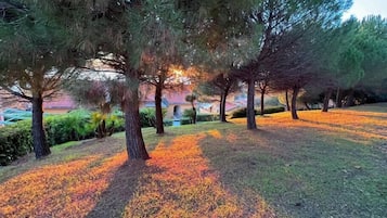 Overnattingsstedets uteområder