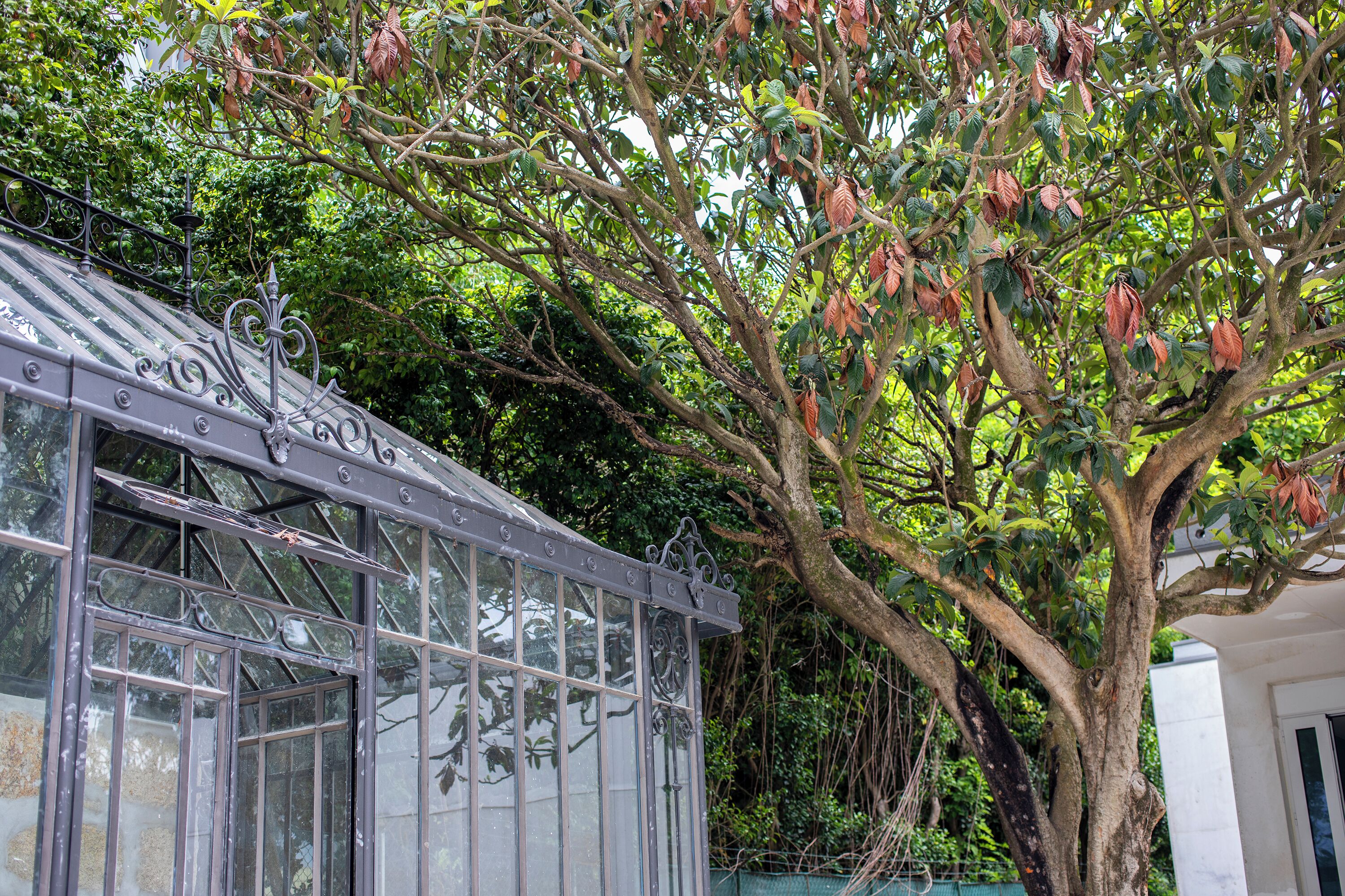 Foto - One Shot Palácio Cedofeita