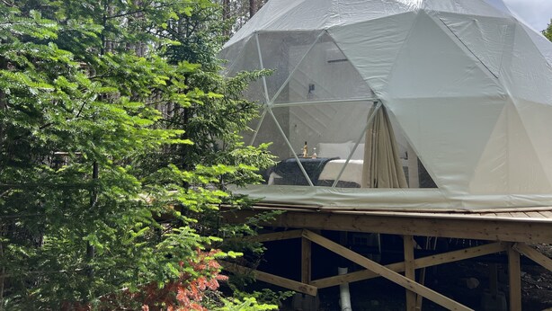 Une tente en forme de dôme géodésique, dotée d’une structure en bois et d’une enveloppe transparente, située dans une zone boisée, avec des arbres et un ciel nuageux en arrière-plan.
