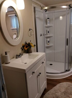 Shower, hair dryer, towels, soap - Cozy country home, pet friendly 20.00 per pet fee (Dryden)