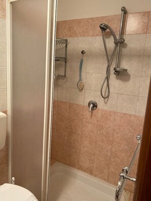 Shower, hair dryer, bidet, towels