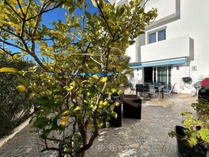 Outdoor dining - Lovely flat with large terrace and swimming pool AV 08 (Roses)