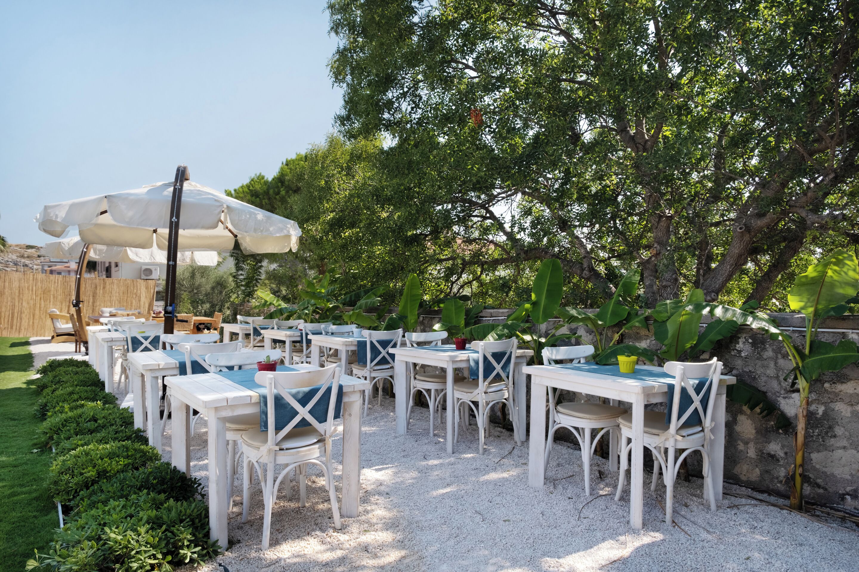 Un espace extérieur aménagé avec des tables et des chaises blanches, entouré de verdure et d’un grand arbre.