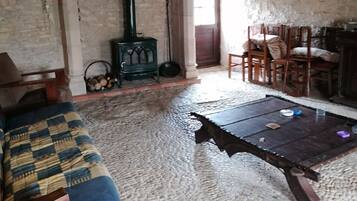 TV, fireplace, DVD player, books