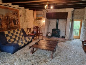 Una televisión, una chimenea, un reproductor de DVD, libros