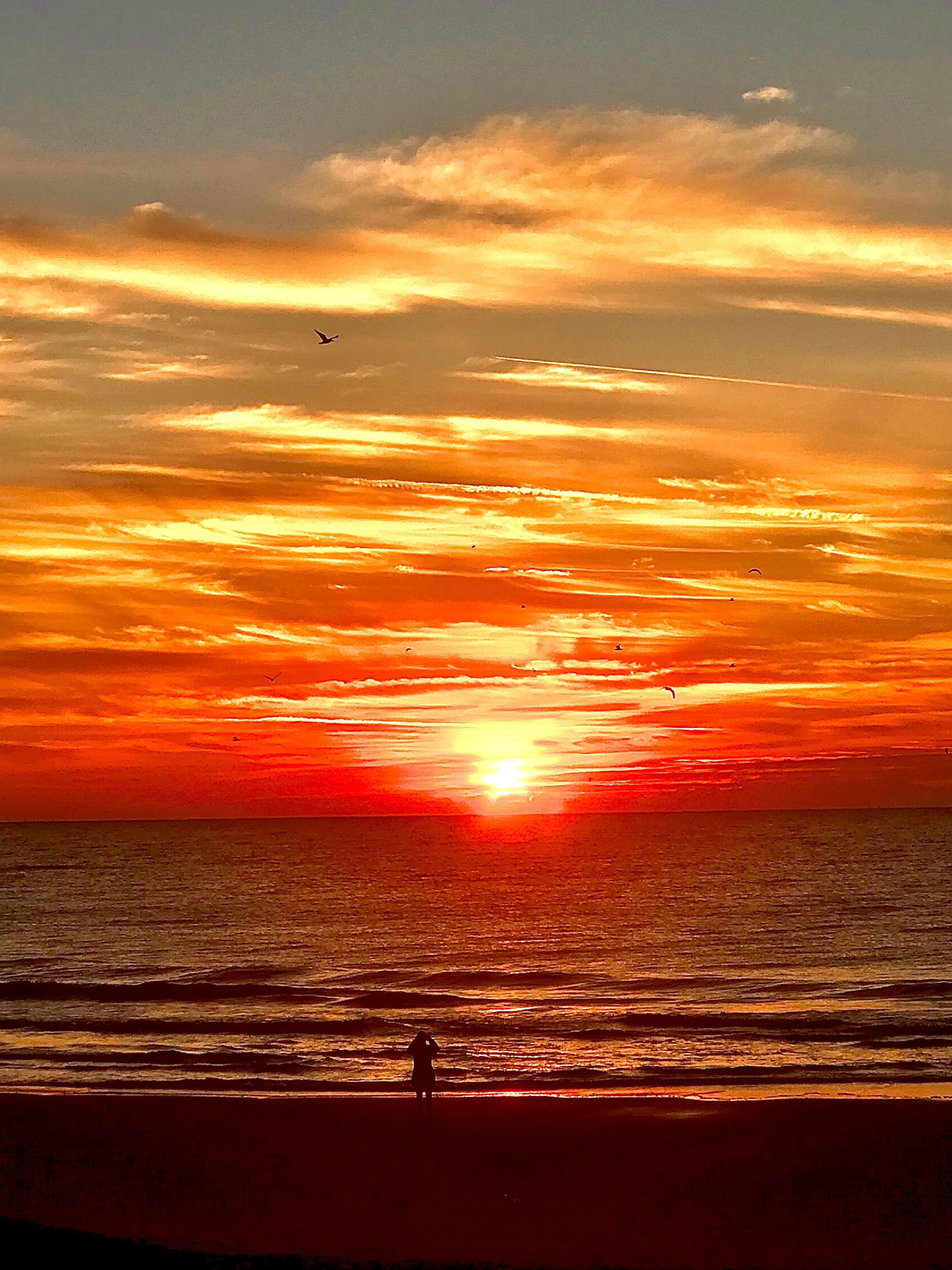 Plage, chaises longues, serviettes de plage