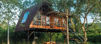 Hotel Magic Paradise