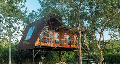 Hotel Magic Paradise