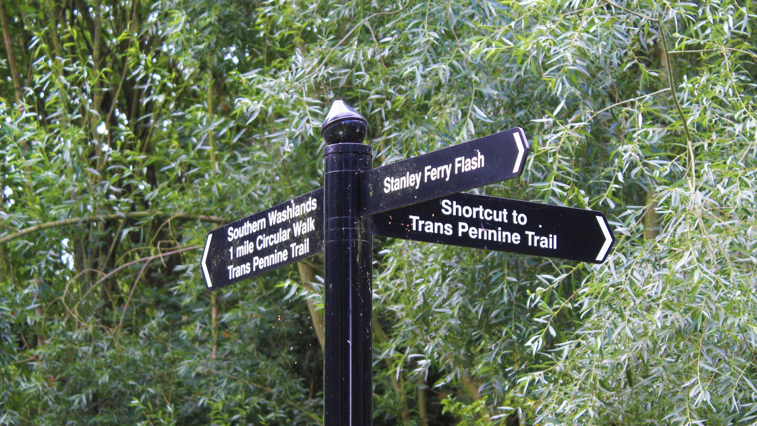 A directional signpost with multiple arrows pointing towards various destinations.