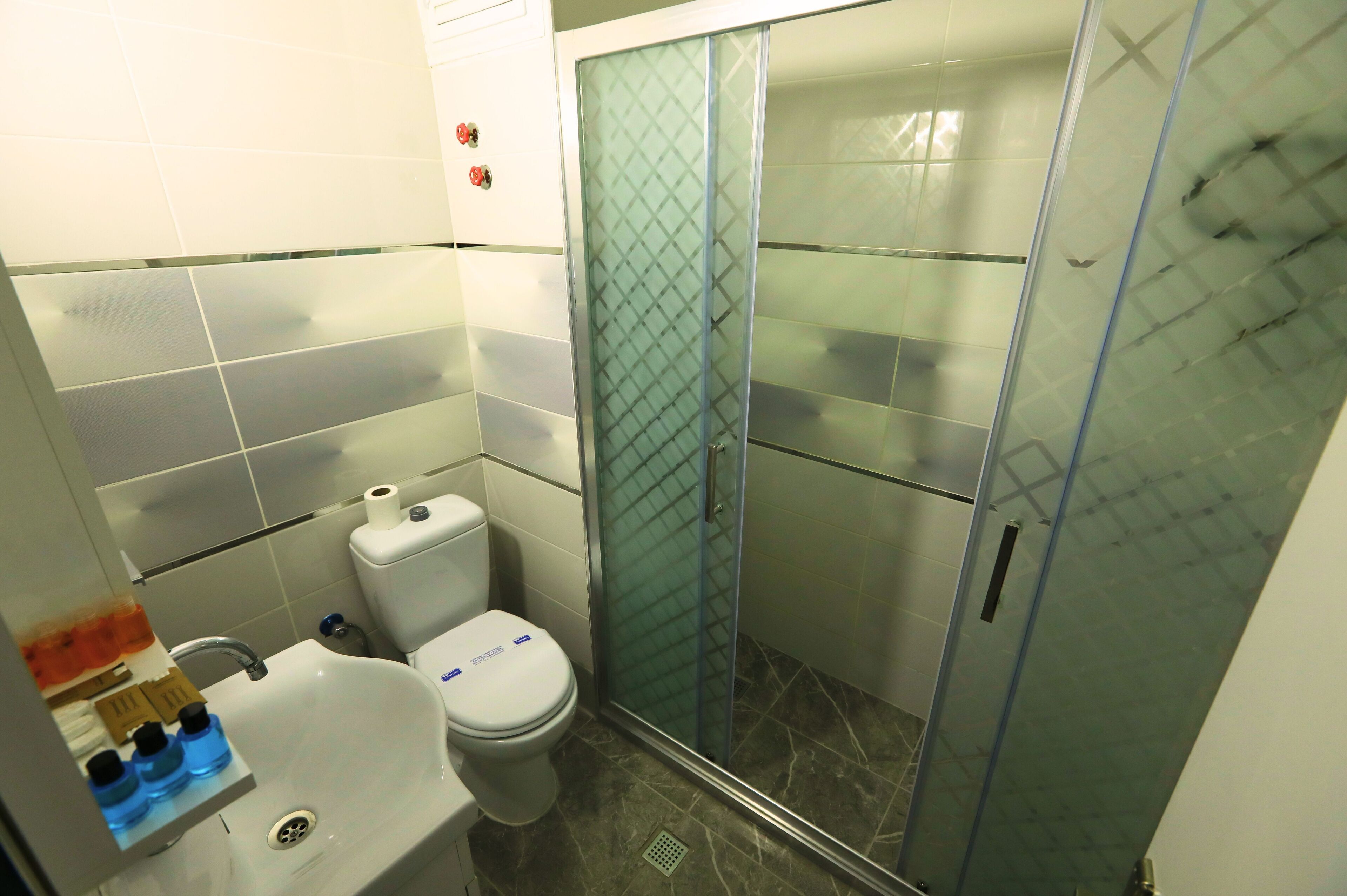 Et badeværelse med toilet, håndvask og glasbrusekabine.