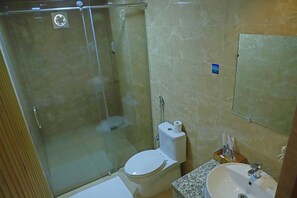 A bathroom with a glass-enclosed shower, a toilet, a sink, and a mirror. - Cholay khangzang (Thimphu)