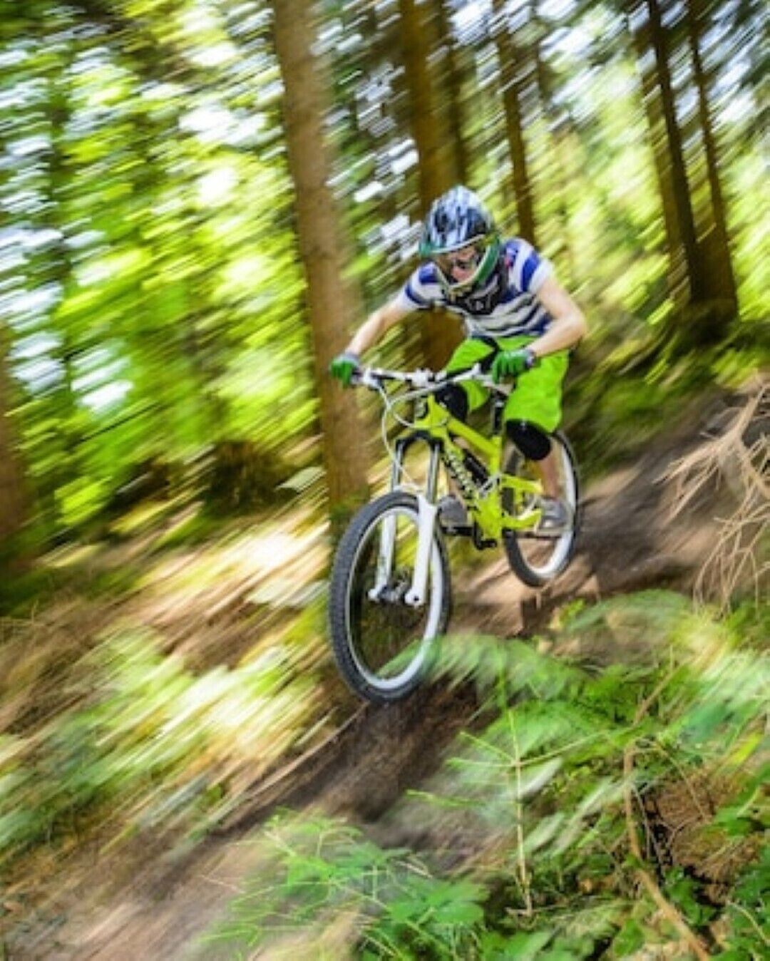 Een persoon fietst op een mountainbike over een bosrijk pad.