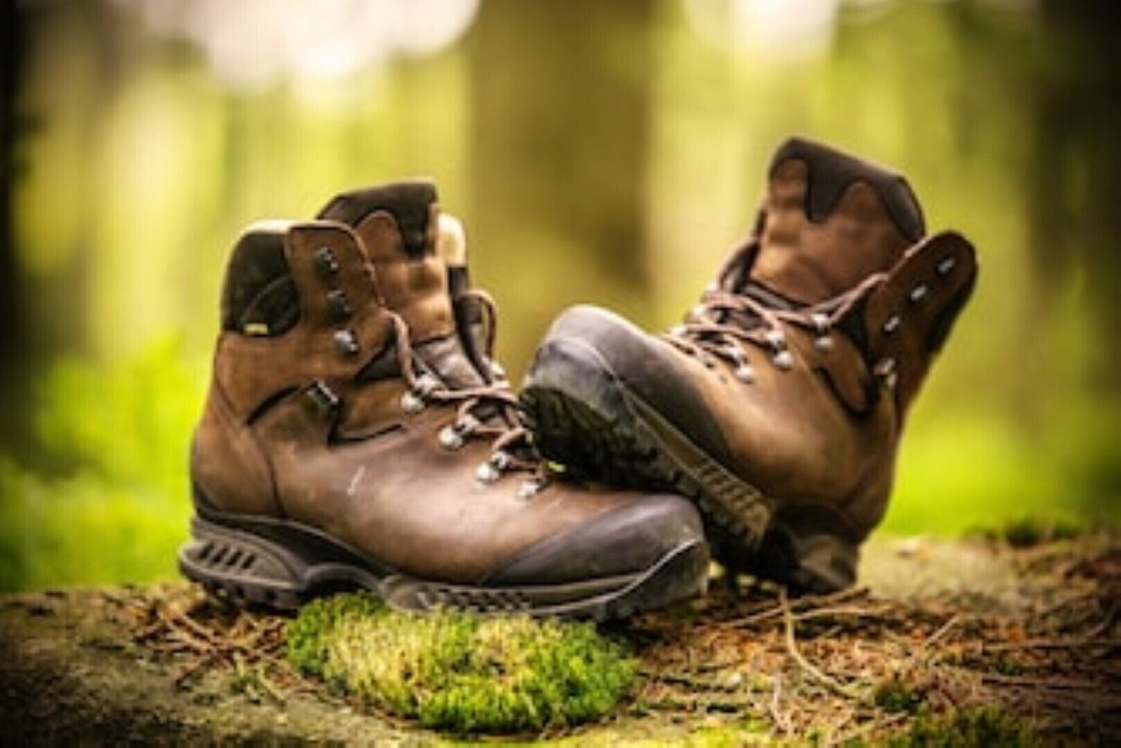 Wanderstiefel auf einer moosbewachsenen Fläche im Wald.