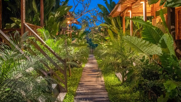 Un sentier en bois, bordé d’une végétation tropicale luxuriante, mène à une structure en bois surmontée d’un toit de chaume.