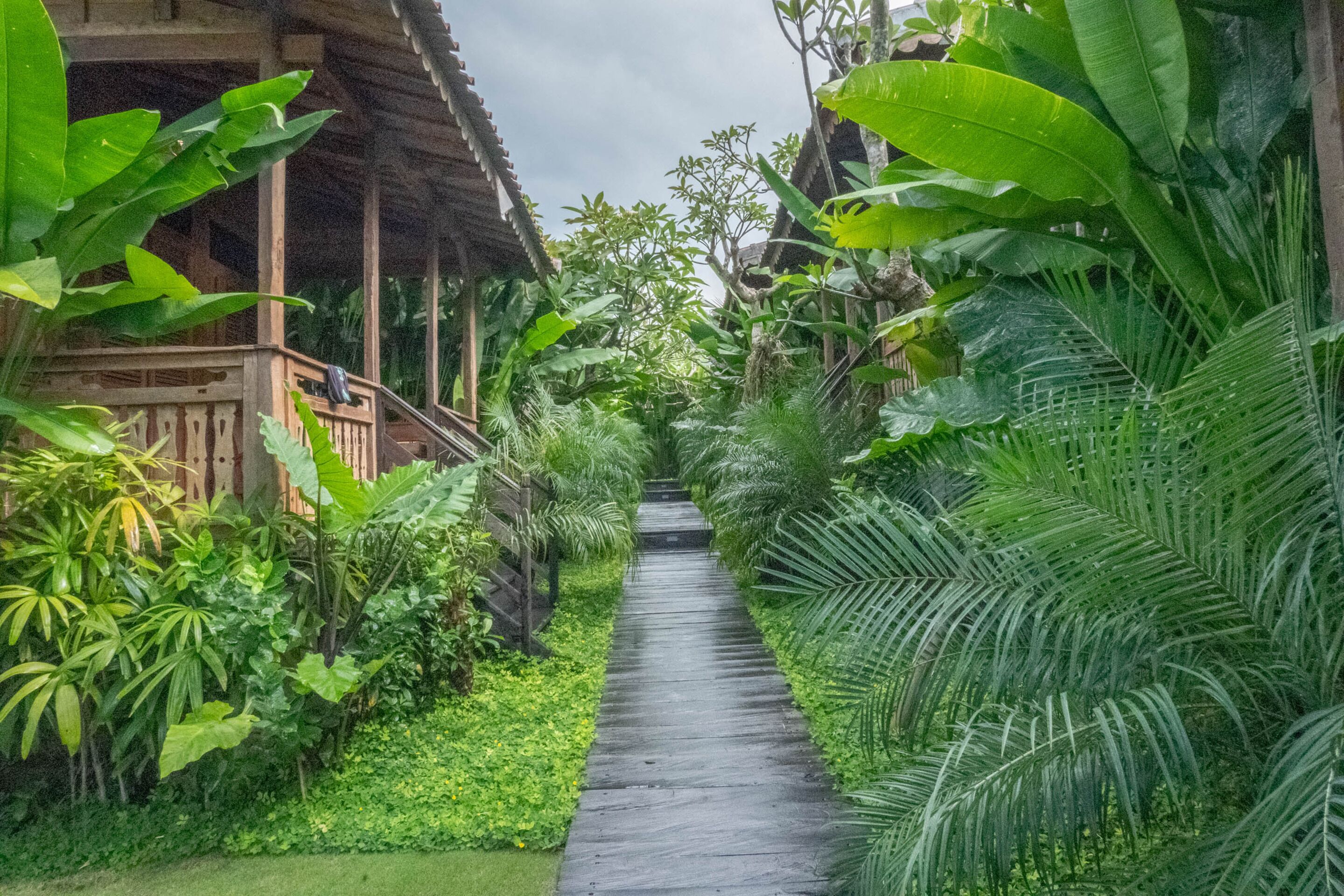 Un sendero estrecho bordeado de exuberante vegetación y construcciones de madera.