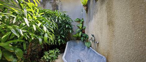 A concrete sink with a showerhead, surrounded by lush green plants.