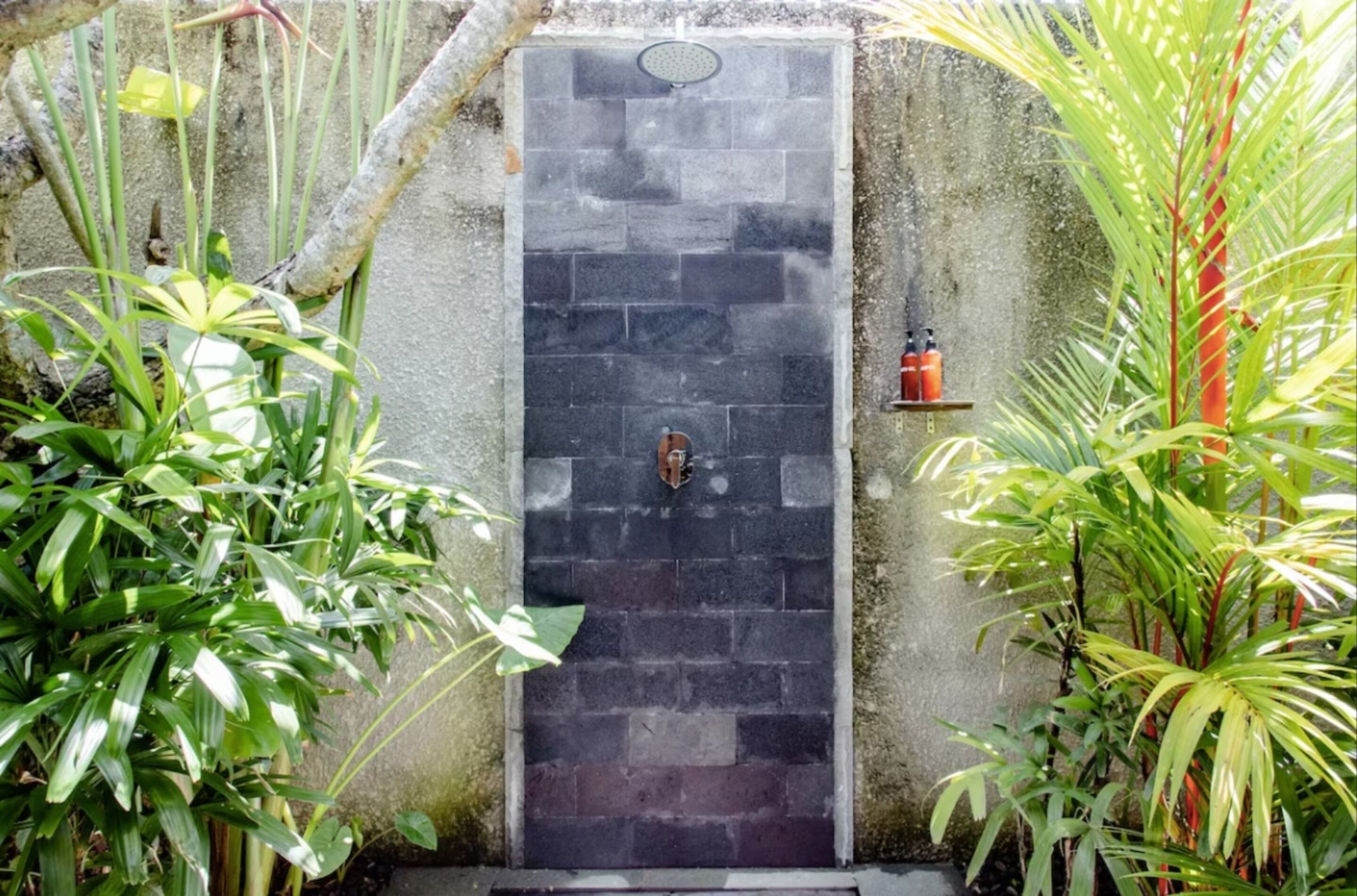 A stone wall with a water feature, surrounded by lush greenery.