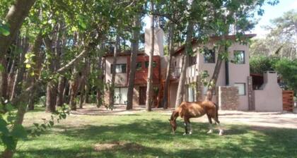 Playa Bonita Mar Azul - Apartamento de 1 Dormitorio