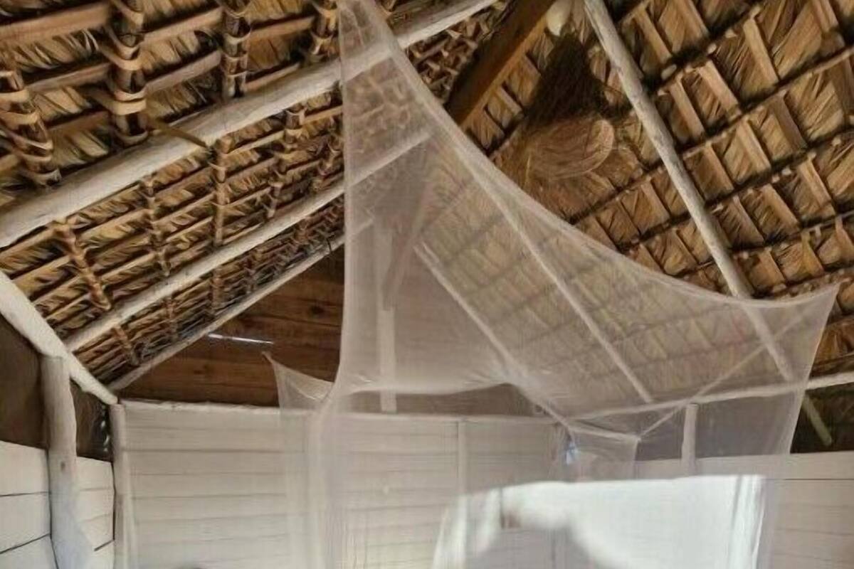 Basic Cabin | Premium bedding, desk, laptop workspace, WiFi (free)